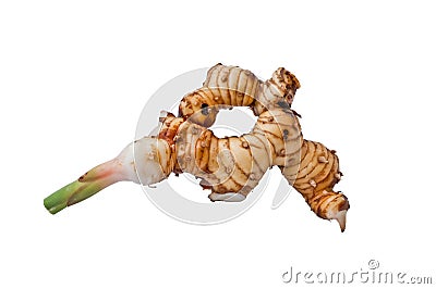 Galangal root isolated against a white background Stock Photo