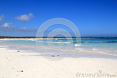 Galapagos beach- Tortuga Bay Stock Photo