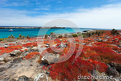 Galapagos island landscape Stock Photo