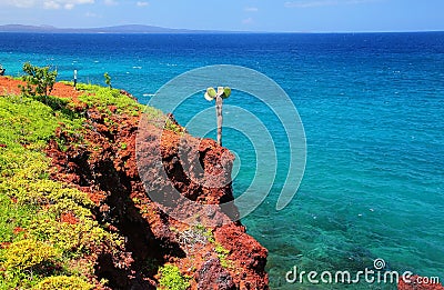 Galapagos prickly pear on a cliff of Rabida Island in Galapagos Stock Photo