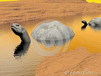 Galapagos tortoises in water - 3D render Stock Photo