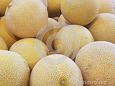 Galia melons Stock Photo