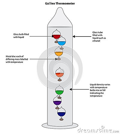 Galileo thermometer showing liquid filled glass bulbs indicating Vector Illustration