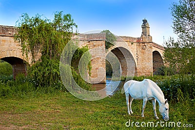 Galisteo village in Caceres of Extremadura Stock Photo