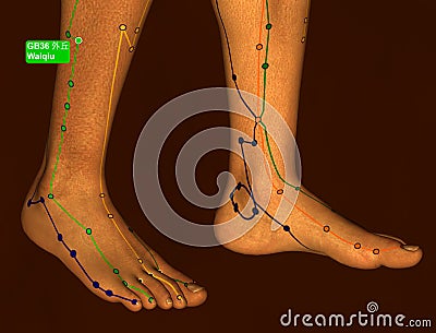 Acupuncture Point GB36 Waiqiu, 3D Illustration, Brown Background Stock Photo