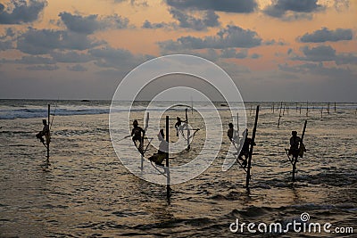 Galle, Sri Lanka - 2019-04-01 - Stilt Fishermen of Sri Lanka Spend All Day on Small Platforms to Catch Fish for Dinner Editorial Stock Photo