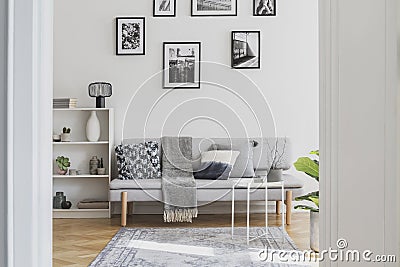 Gallery of black and white posters on the wall of classy living room interior Stock Photo