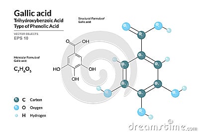 Gallic acid. Structural Chemical Formula and Molecule 3d Model. Atoms with Color Coding. Vector Vector Illustration