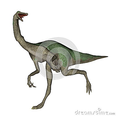 Gallimimus dinosaur walking - 3D render Stock Photo