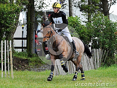 Galloping Editorial Stock Photo