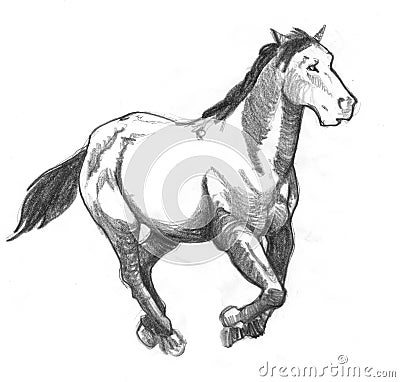 Galloping horse Stock Photo