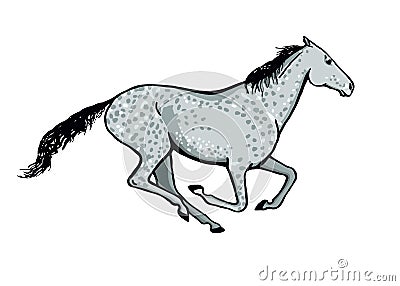 Galloping horse or mustang. Dapple grey color coat pony running. Vector Illustration