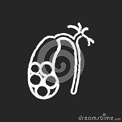 Gallstones chalk white icon on black background Vector Illustration