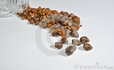 Gallstones from single operation. Stock Photo