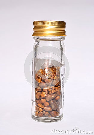 Gallstones in specimen jar Stock Photo