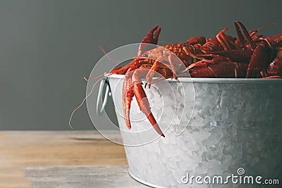 Galvanized steel bucket filled with boiled crawfish. Side view on wood table with copy space. Stock Photo