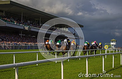 Galway Races - The final stretch Editorial Stock Photo