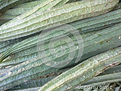 Gambas/Karawila. Vegetables that are boiled or eaten raw as eight. Stock Photo