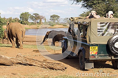 Game viewing vehicle and elephants Editorial Stock Photo