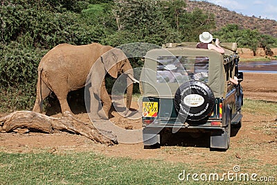 Game viewing vehicle in the savanna Editorial Stock Photo