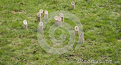 Game of Wooden pine sticks on grass Stock Photo