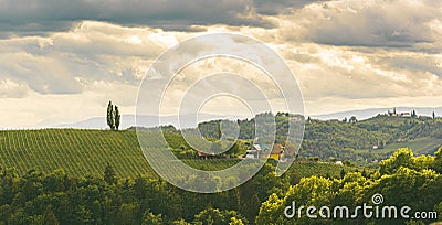 Gamlitz town in Austria Vineyards in Sulztal area south Styria, famous wine country Stock Photo