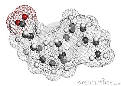 Gamma-linolenic acid (GLA, gamolenic acid) molecule. Omega-6 fatty acid present in many vegetable oils, including evening primrose Stock Photo