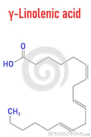 Gamma-linolenic acid molecule. Skeletal formula. Chemical structure Vector Illustration