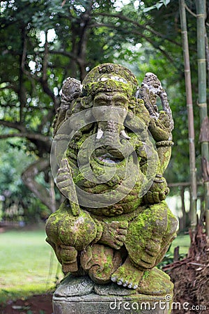 Ganesha moss in park Stock Photo