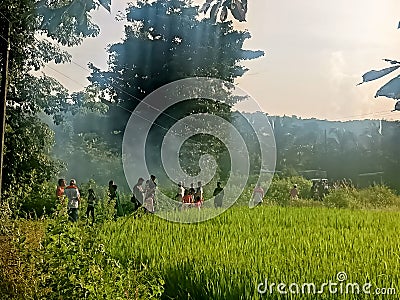 Ganpati Bappa celebration Stock Photo