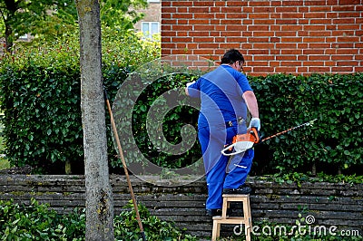 Ganrdener trimming bushes on Alleen Kastrup Copenhagen Editorial Stock Photo
