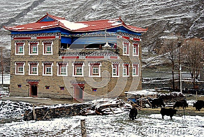 Ganzi, China: Tibetan House and Yaks Stock Photo