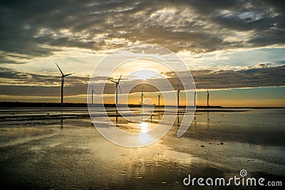 Gaomei Wetlands Stock Photo