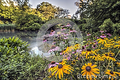 Gapstow bridge Central Park, New York City Stock Photo