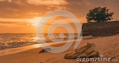 Garbage on the beach. Coastal environmental pollution. Marine environmental problems. Old shoes on sand beach at sunset time Stock Photo