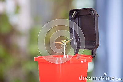 In the garbage classification, the red trash can model containing harmful garbage opens the lid to grow buds Stock Photo