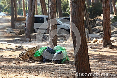 Garbage collection in the forest Stock Photo