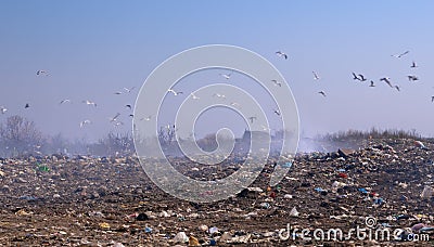 Garbage dump Stock Photo