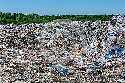 Garbage Dump in forest Stock Photo