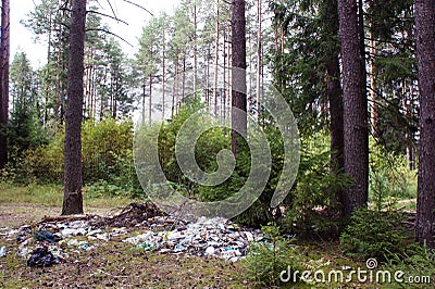 Garbage dump in the forest. Pile of garbage under trees. Illegal garbage dump. Environmental pollution. Pine forest. Stock Photo