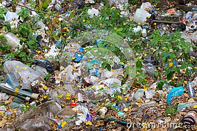 garbage in the forest Editorial Stock Photo