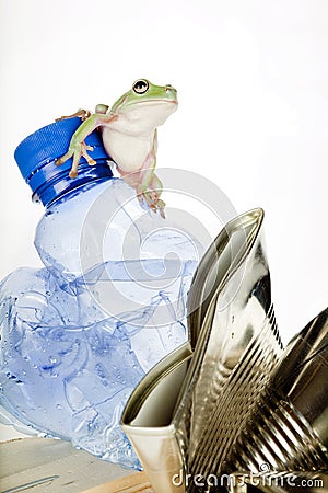Garbage frog Stock Photo