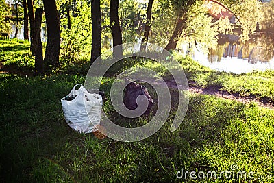 Garbage left by vacationers on the shore of the lake in the grass in plastic garbage bags. Pollution of nature. Non Stock Photo