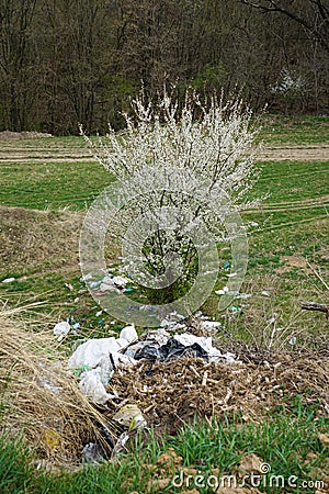 Garbage pile on the countryside forest edge on green trees background on a spring day. Plastic littering the wildlife. Vertically Stock Photo