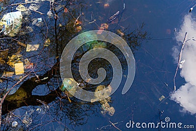 Garbage and tree reflections in water Stock Photo