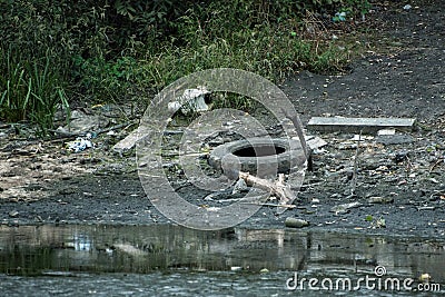 Garbage on the river Bank of the lake. Old tire. Ecological damage contaminated land Stock Photo