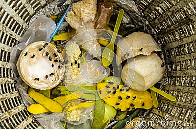 Garbage waste and flies. Stock Photo