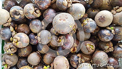 Garcinia mangostana, one of the fruits with efficacy that must cure various diseases Stock Photo