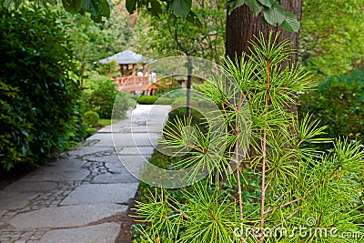 Garden Stock Photo