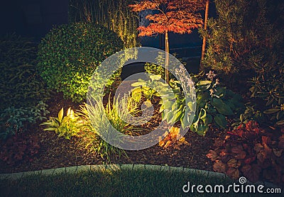 Garden Ambient Lighting Stock Photo